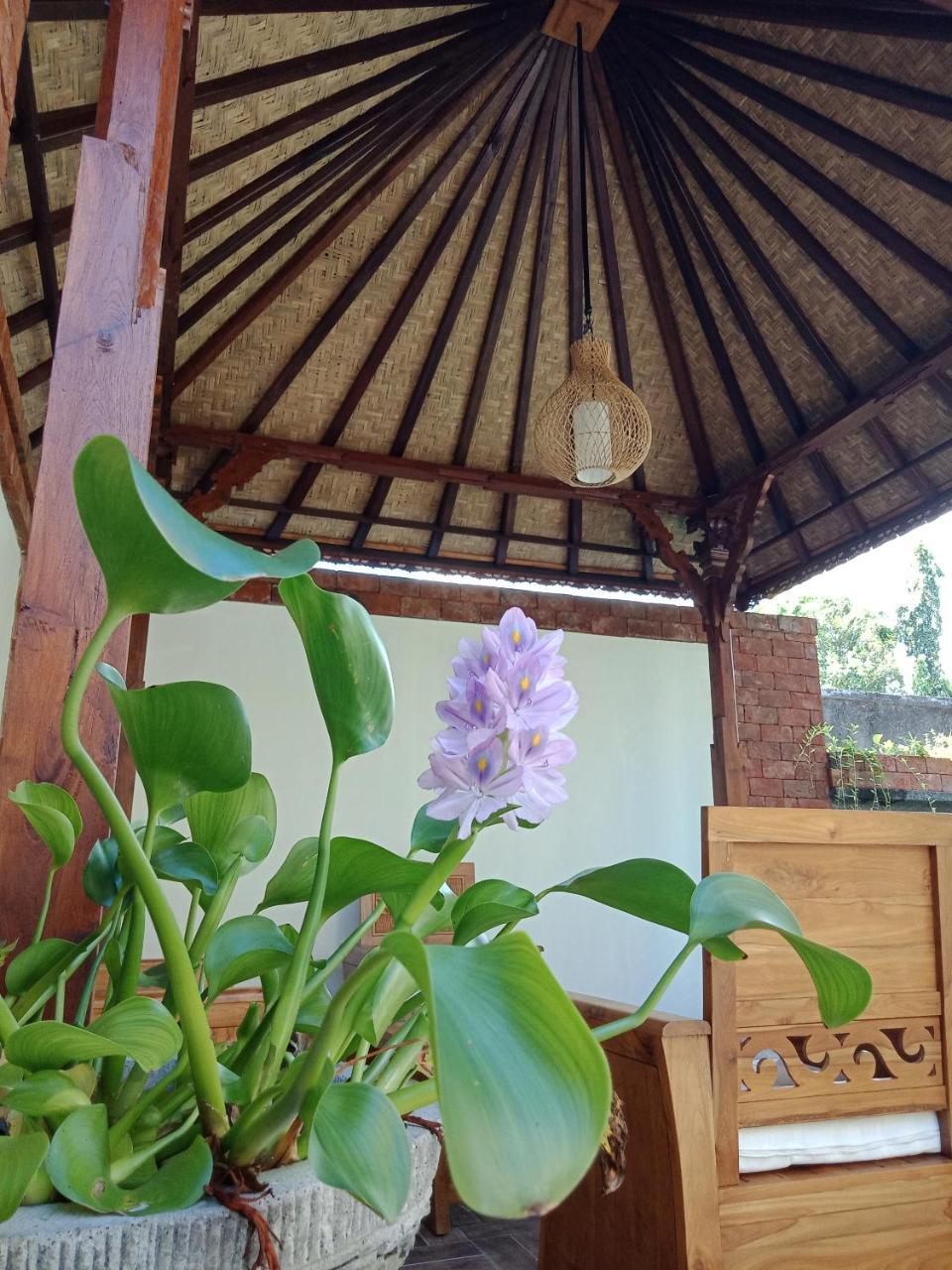 D'Puja Home Stay And Spa Nusa Dua  Dış mekan fotoğraf