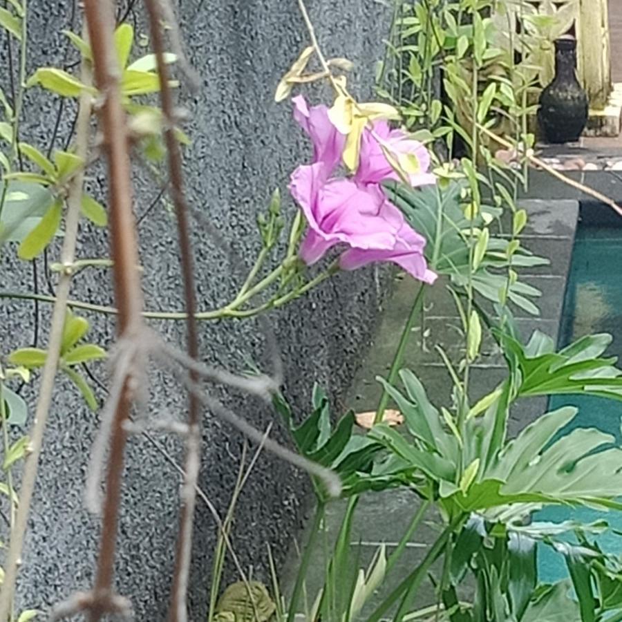 D'Puja Home Stay And Spa Nusa Dua  Dış mekan fotoğraf