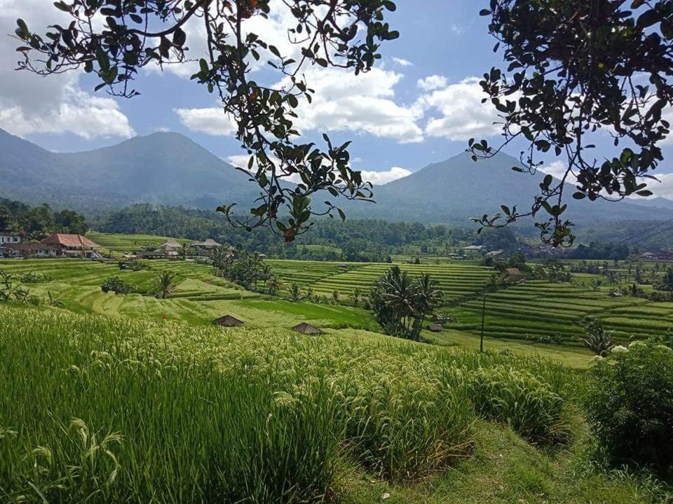 D'Puja Home Stay And Spa Nusa Dua  Dış mekan fotoğraf